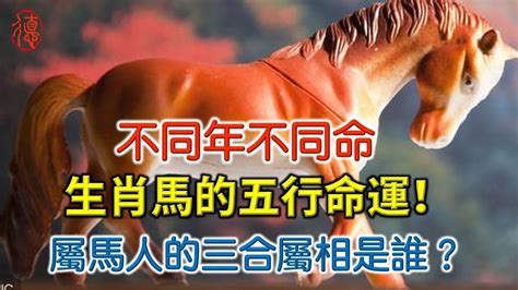 屬馬 名字|生肖屬馬的個性、守護神、生肖姓名學取用法則與忌用字庫－芷蘭。